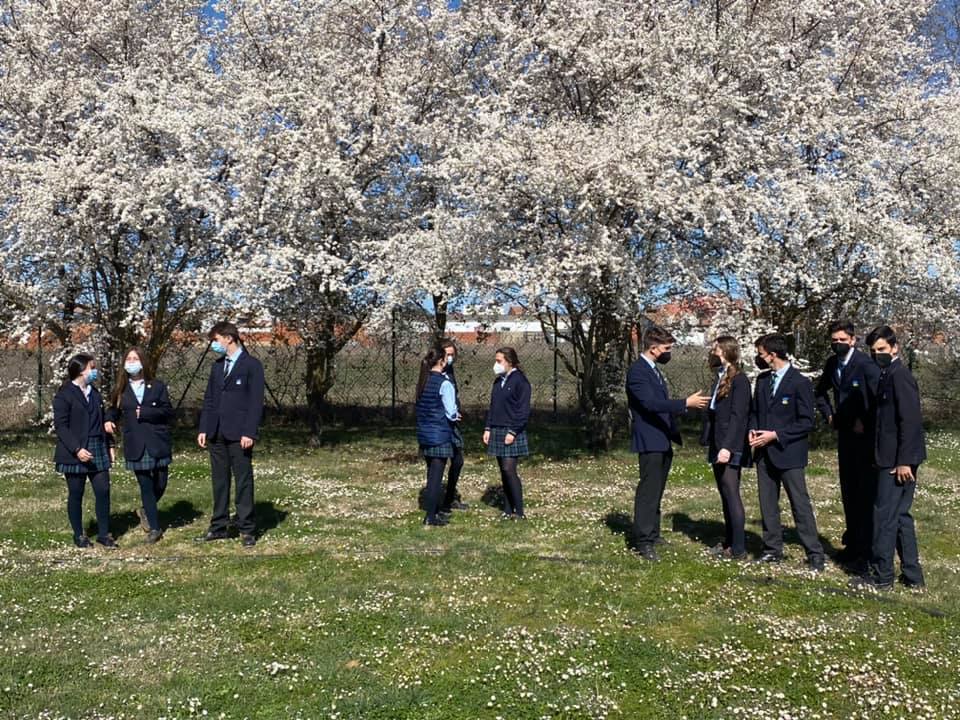 Fotos: «Día de la primavera» en Peñacorada