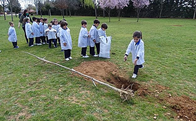 Los alumnos han colaborado en la plantación de árboles. 