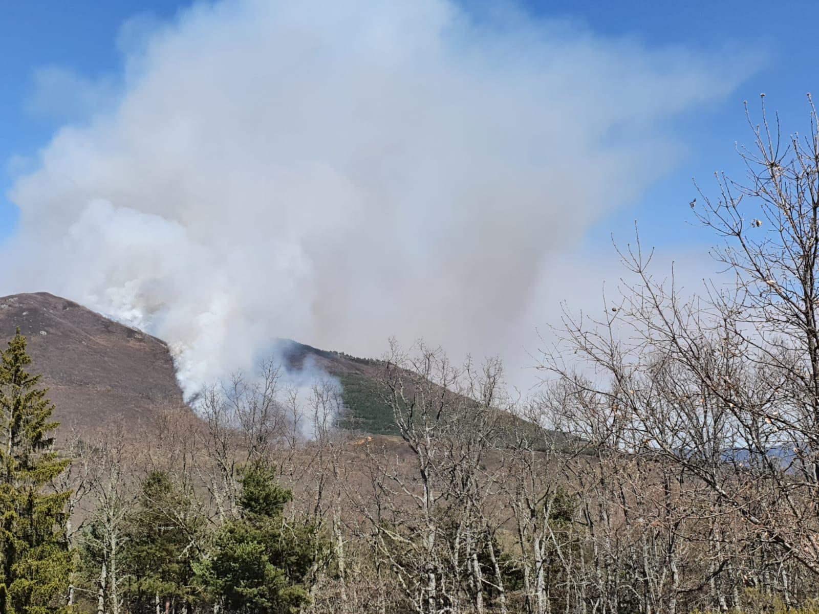 Las llamas, que asolan la ladera del pinar del Pico Muela, han obligado a actuar a medios terrestres y dos helicópteros.