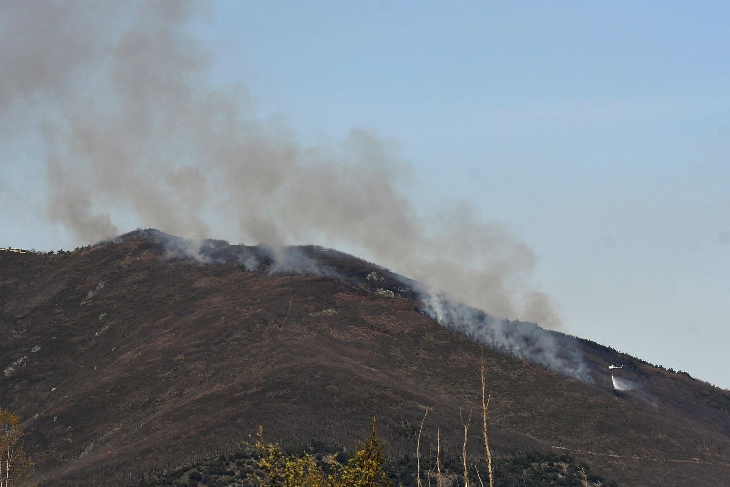 Las llamas, que asolan la ladera del pinar del Pico Muela, han obligado a actuar a medios terrestres y dos helicópteros.