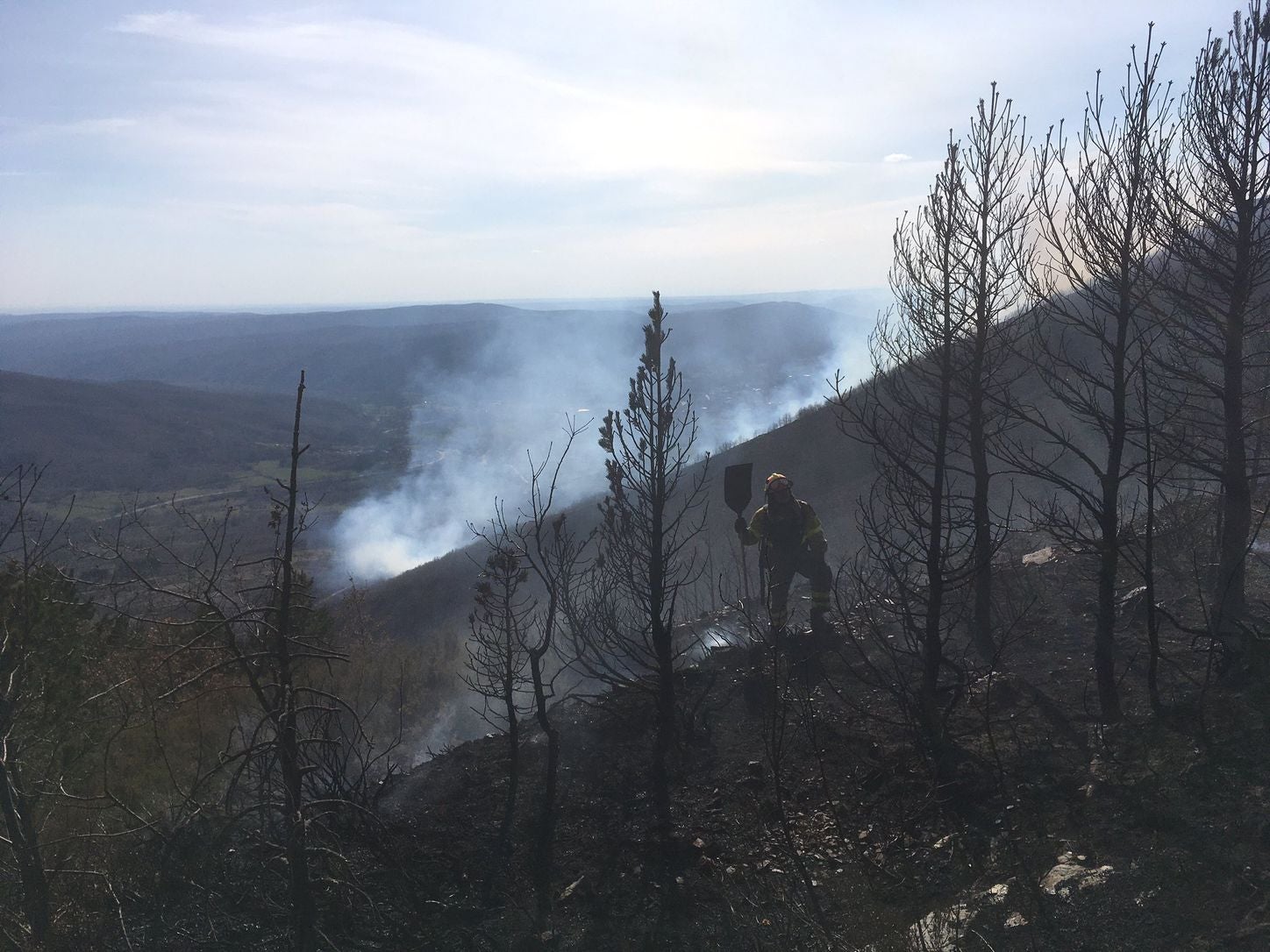 Las llamas, que asolan la ladera del pinar del Pico Muela, han obligado a actuar a medios terrestres y dos helicópteros.