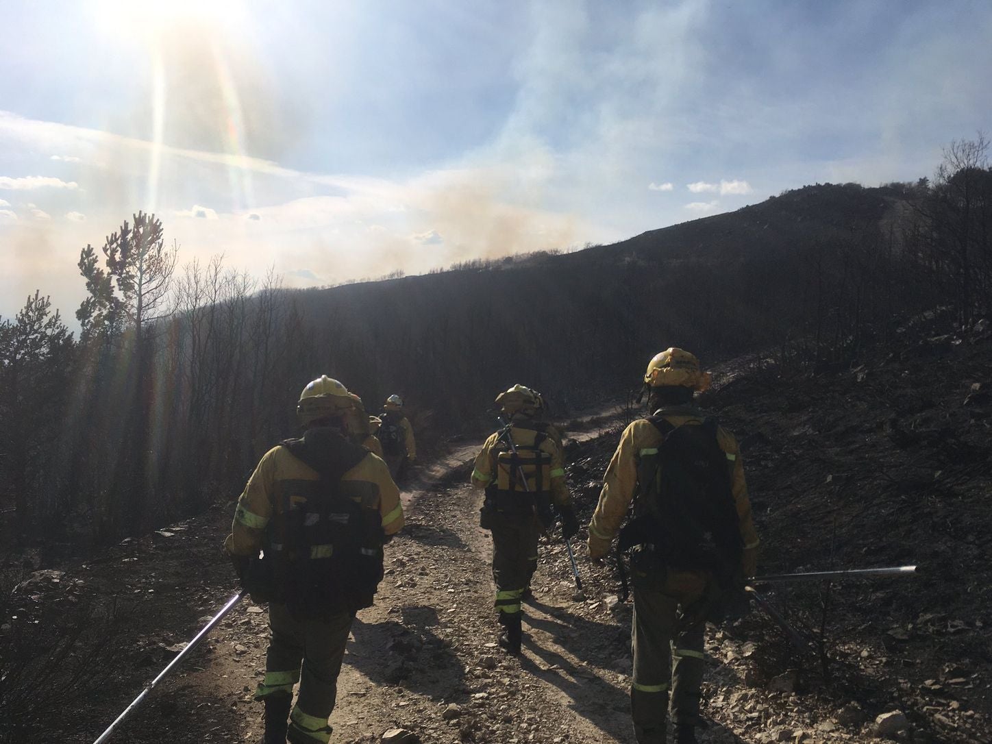 Las llamas, que asolan la ladera del pinar del Pico Muela, han obligado a actuar a medios terrestres y dos helicópteros.