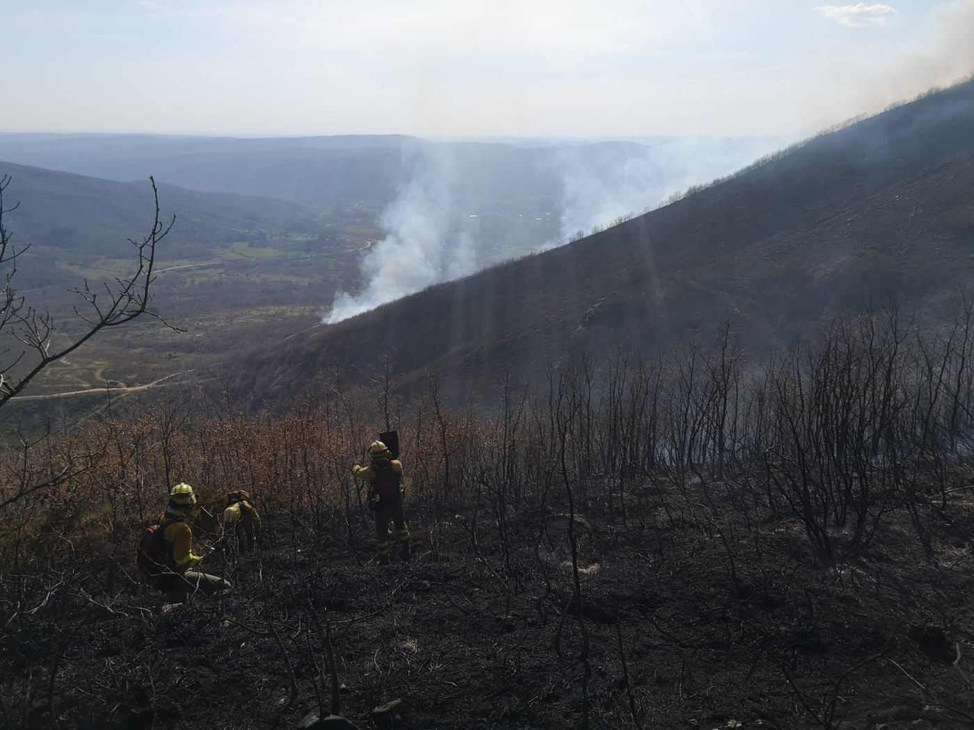 Las llamas, que asolan la ladera del pinar del Pico Muela, han obligado a actuar a medios terrestres y dos helicópteros.