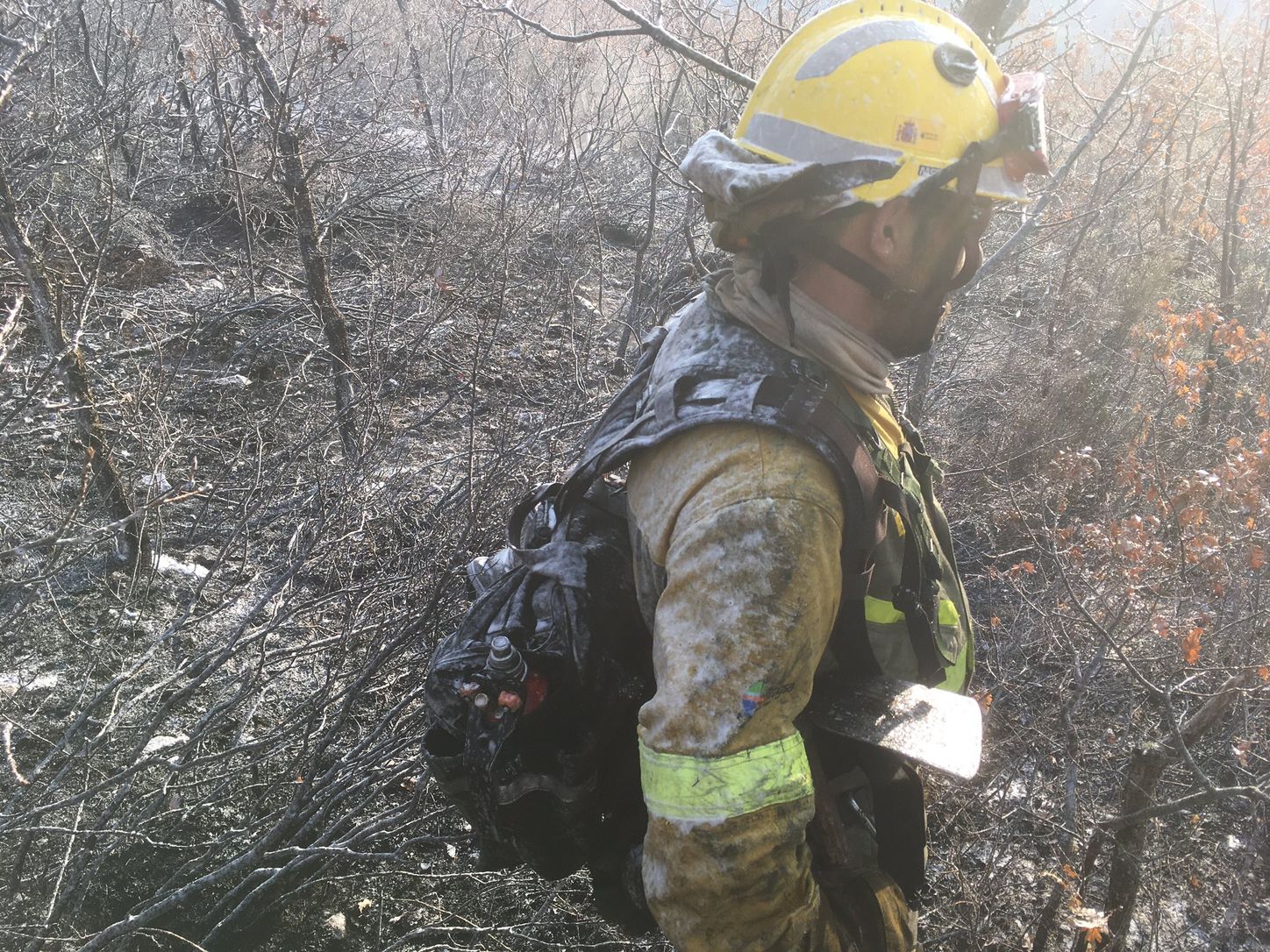 Las llamas, que asolan la ladera del pinar del Pico Muela, han obligado a actuar a medios terrestres y dos helicópteros.