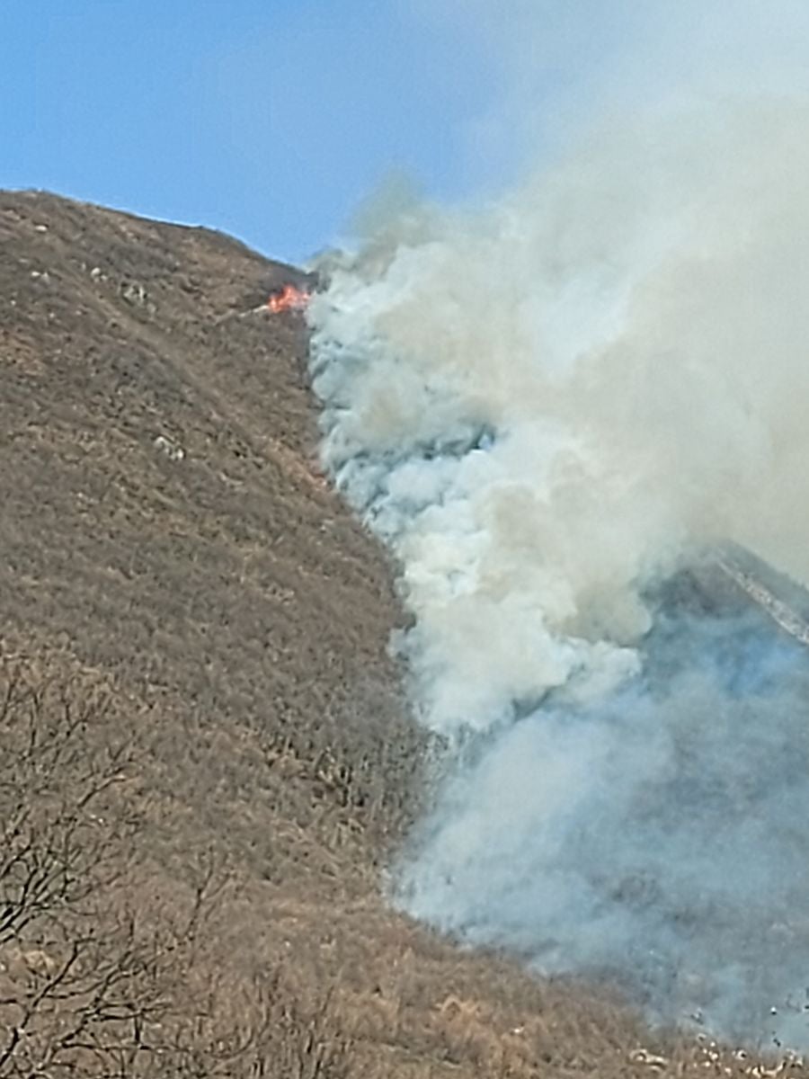 Las llamas, que asolan la ladera del pinar del Pico Muela, han obligado a actuar a medios terrestres y dos helicópteros.