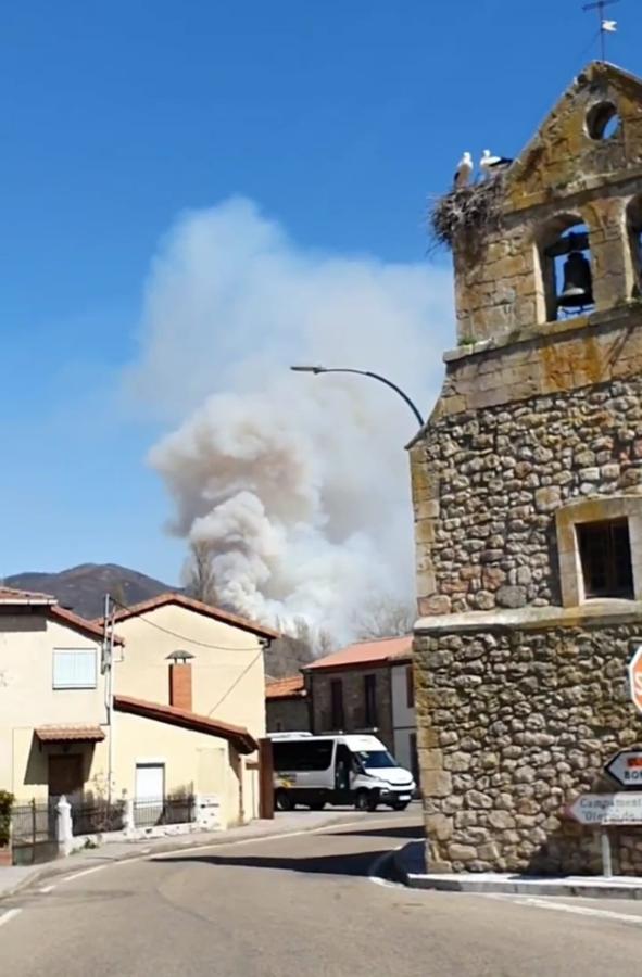 Las llamas, que asolan la ladera del pinar del Pico Muela, han obligado a actuar a medios terrestres y dos helicópteros.