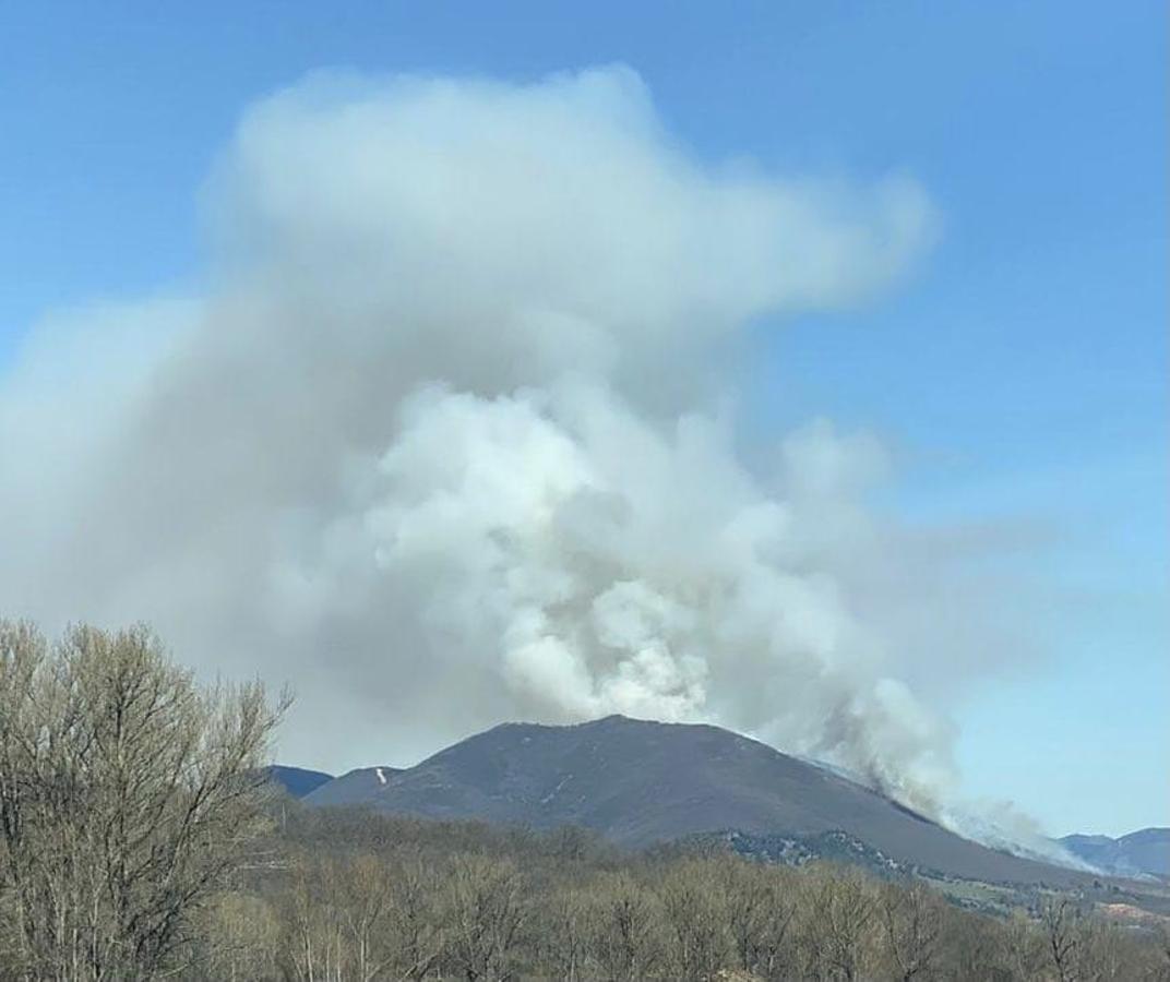 Las llamas, que asolan la ladera del pinar del Pico Muela, han obligado a actuar a medios terrestres y dos helicópteros.