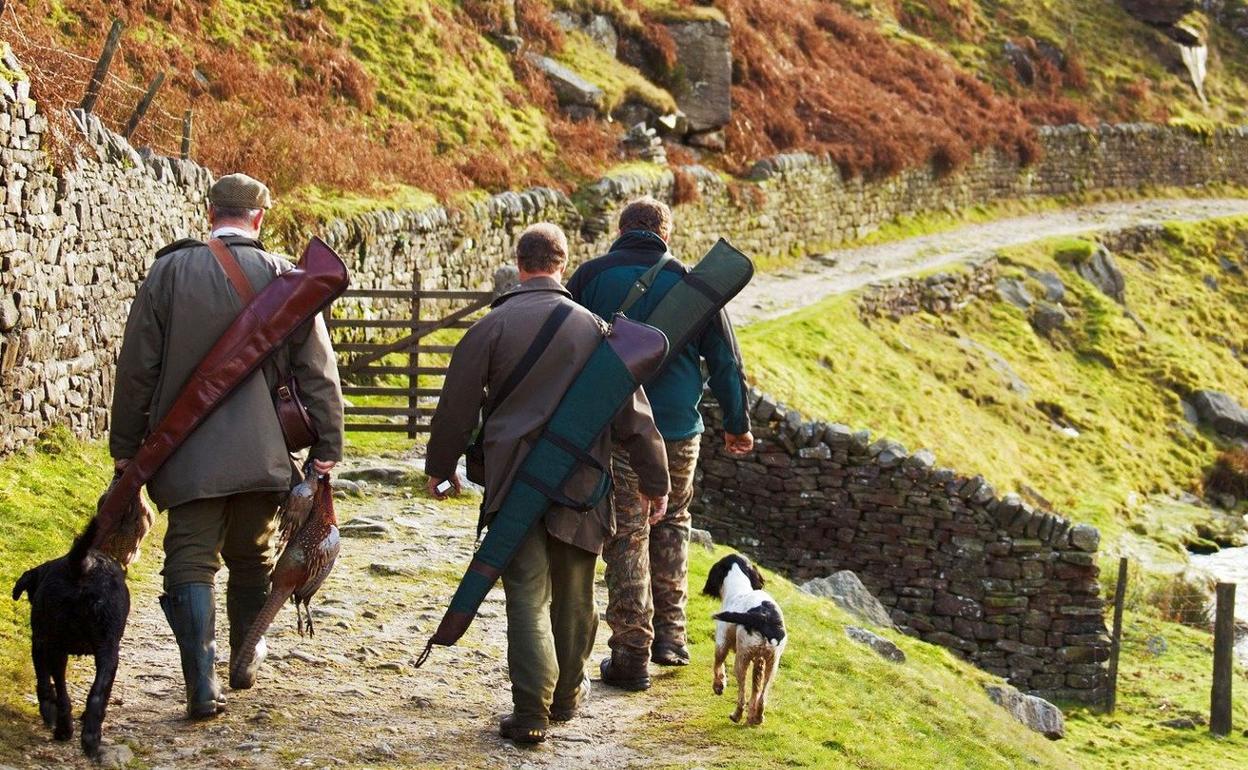 Un grupo de cazadores camina junto a sus perros durante una jornada de caza. 