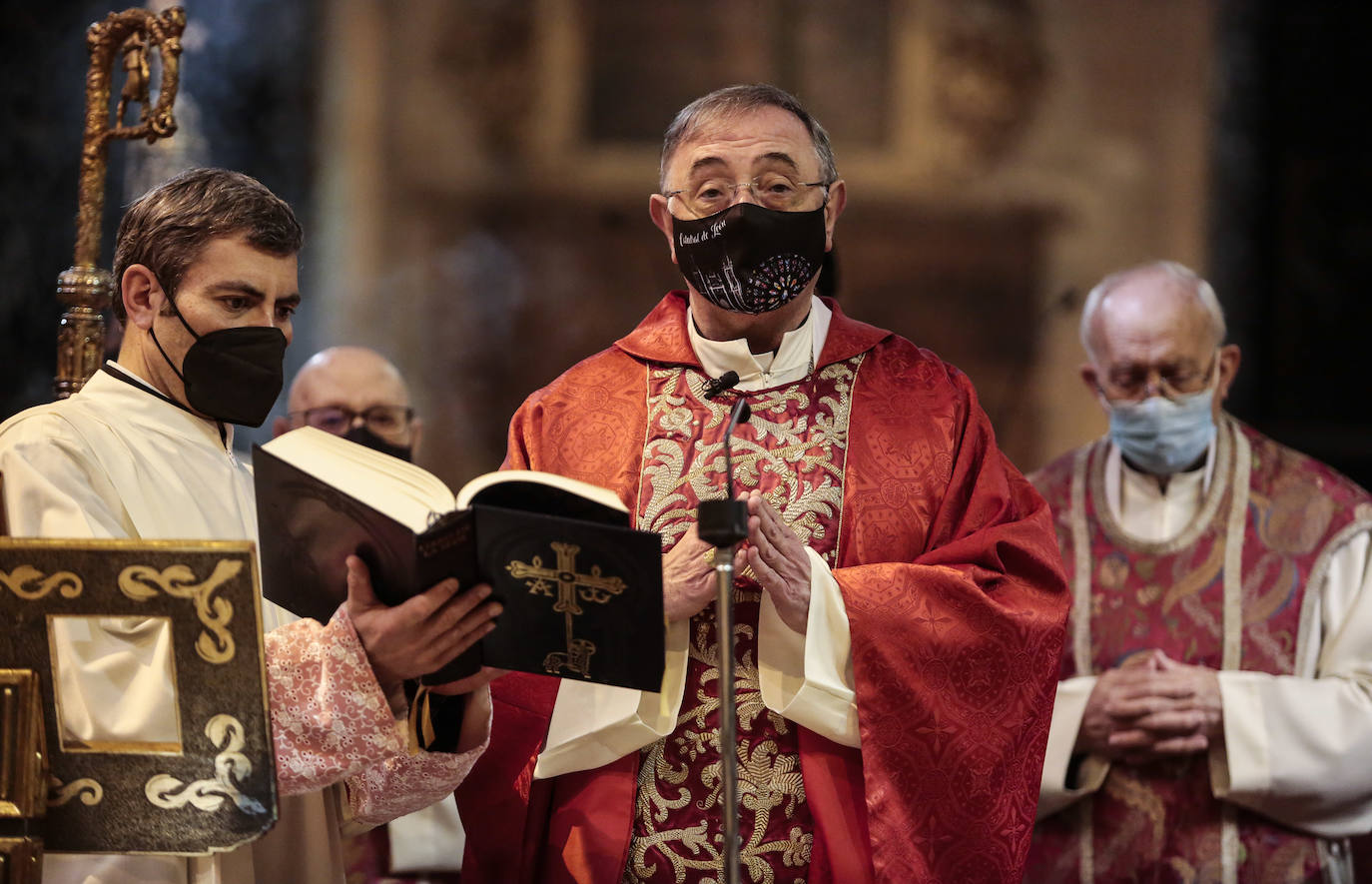 Fotos: Misa estacional del Domingo de Ramos en León