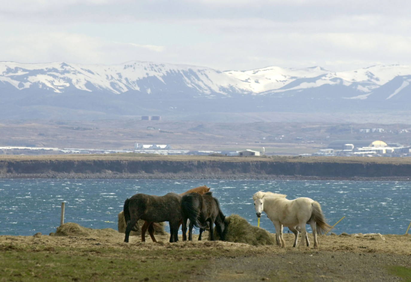 2.- ISLANDIA | En la imagen, Akranes