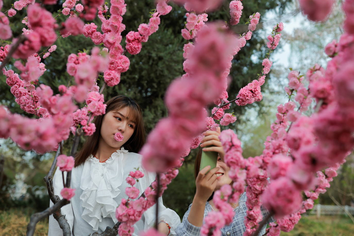 Yuyuantan Park, Pekín - China