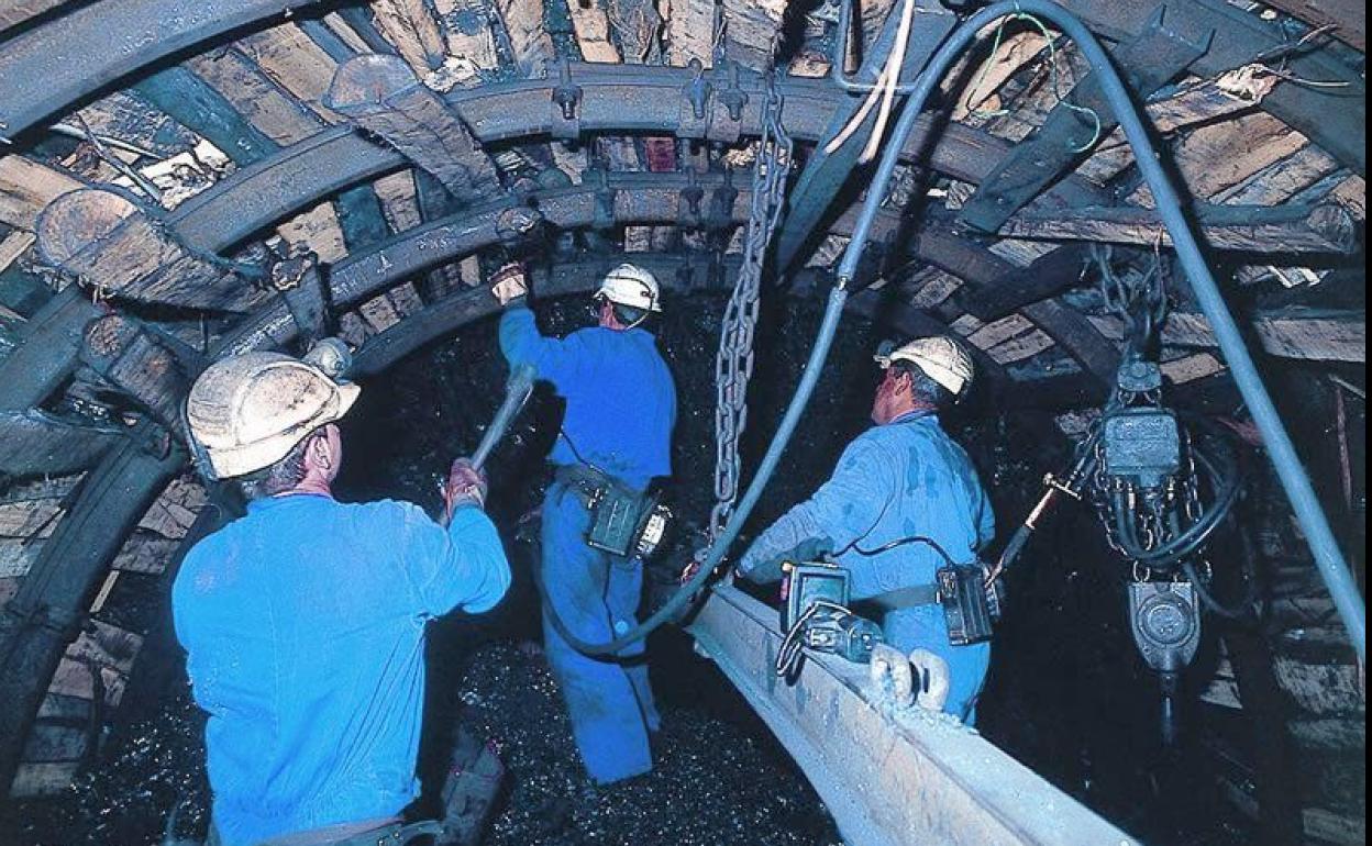 Trabajadores de La Vasco en el interior de la explotación.