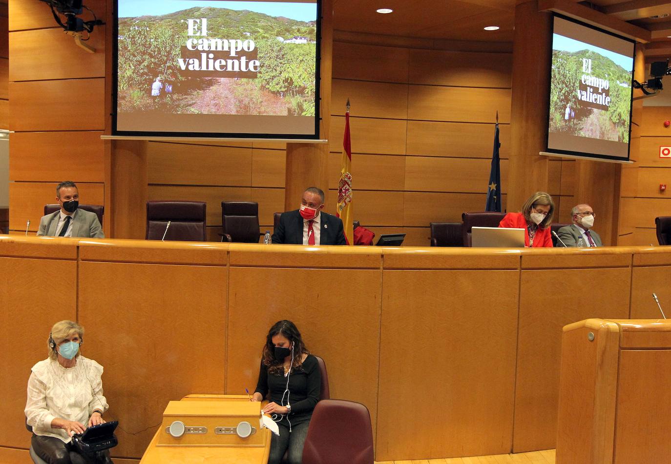 El presidente del Consejo Comarcal del Bierzo reclama en el Senado infraestructuras ferroviarias y de carreteras y de telecomunicaciones al ser la Comarca un lugar «idóneo» para el teletrabajo.