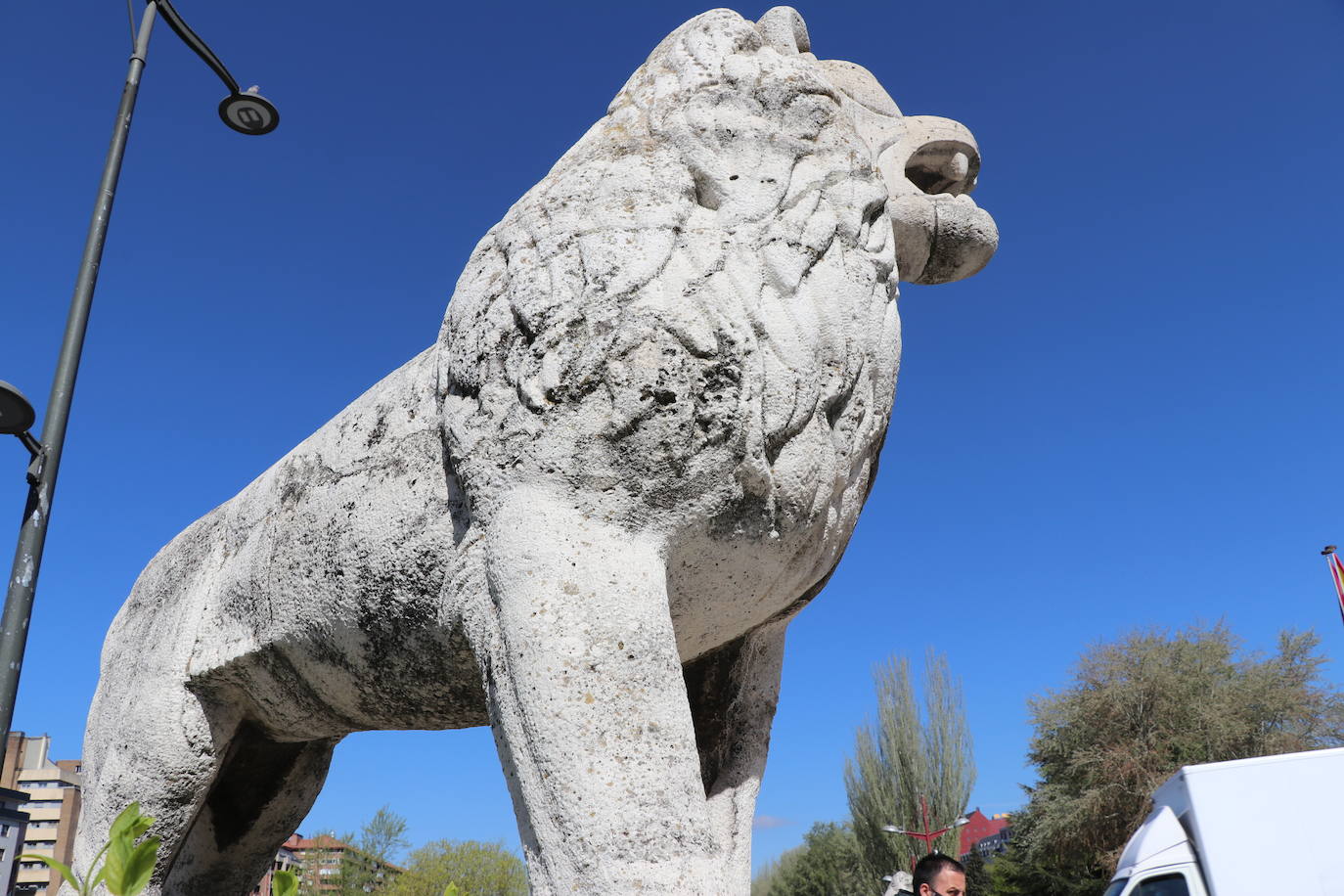 Los cuatro felinos del Puente de los Leones presentan un mal estado desde hace tiempo.