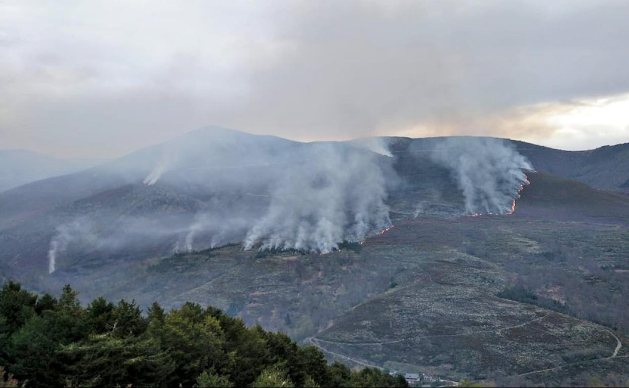 Imagen del incendio declarado en Suertes.