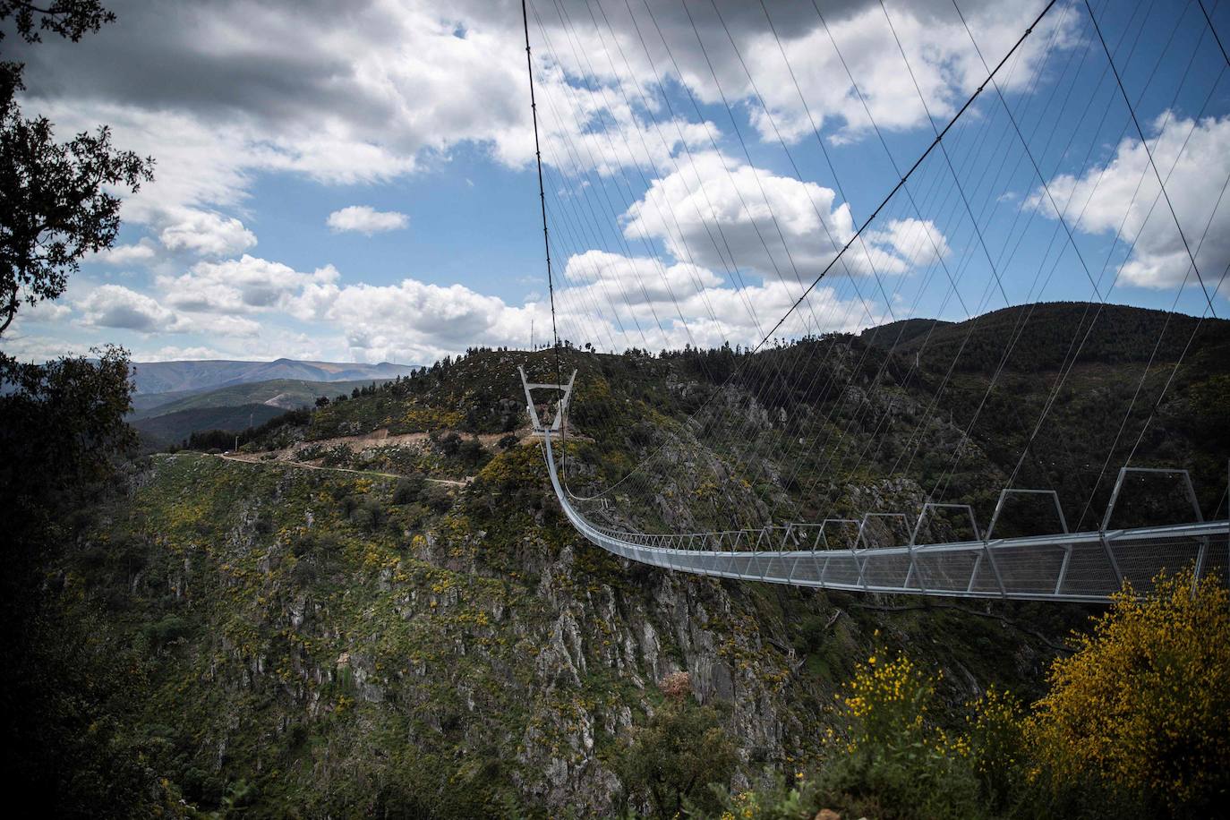 Portugal inauguró este jueves 29 de abril el puente peatonal suspendido más largo del mundo, a 175 metros sobre el río Paiva, en el norte, y que con sus 516 metros supera el récord establecido en 2017 por la pasarela Charles Kuonen de los Alpes suizos. El puente atraviesa un barranco granítico del municipio de Arouca y está formado por 127 planchas de rejilla con barandillas metálicas de 1,20 metros de ancho, sujetas por cables de acero a unos pilares en forma de 'V' situados a cada extremo.