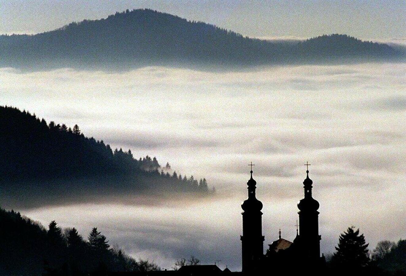 Selva Negra Alemana (Alemania): Este es uno de los bosques más misteriosos de esta lista y no porque no sea ni selva ni negra, sino por ese lado salvaje y misterioso que evoca su densa vegetación, que los romanos acabaron denominando como “selva negra”. Un bosque que parece casi sacado de un cuento, que cuenta con una extensión de nada menos que 6.000 km2 y en cuyo interior no faltan los embalses y lagos. Un bosque que se ha convertido en uno de los destinos vacacionales preferidos de Alemania tanto en invierno como en verano.