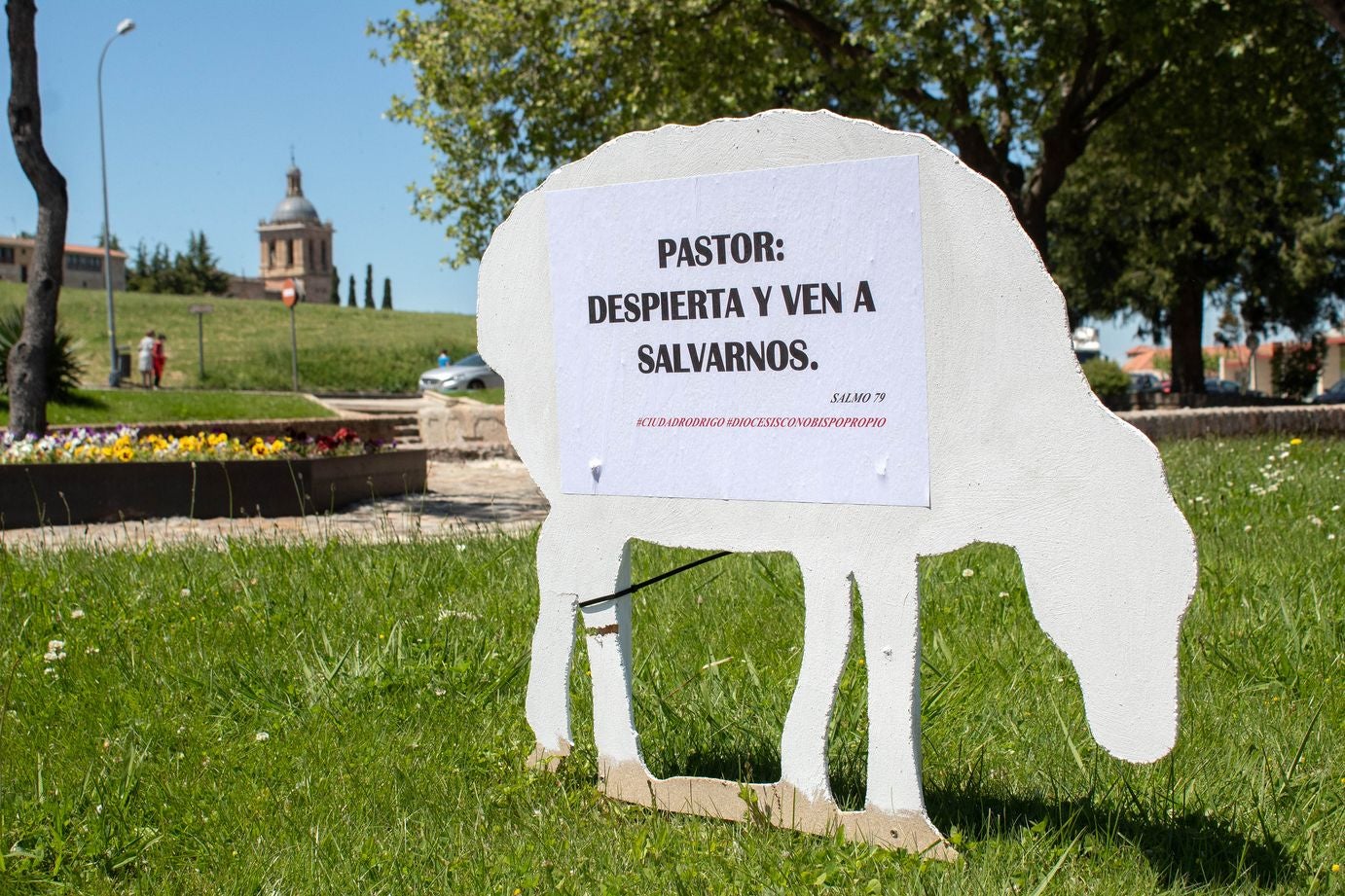 Ocho siluetas conforman el 'rebaño' aparecido este miércoles por las calles de Miróbriga como reivindicación por la ausencia de obispo en la Diócesis Civitatense. 