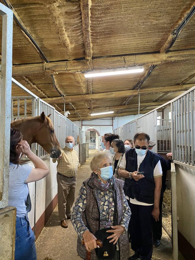 Un año después, ocho ancianos han vuelto a disfrutar del aire libre en una excursión con caballos.