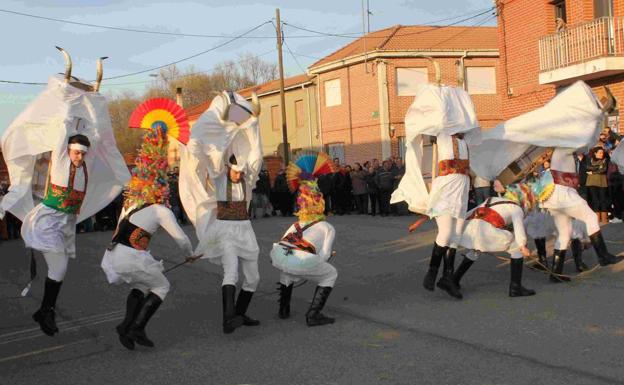 Toros y guirrios, saltando y corriendo.