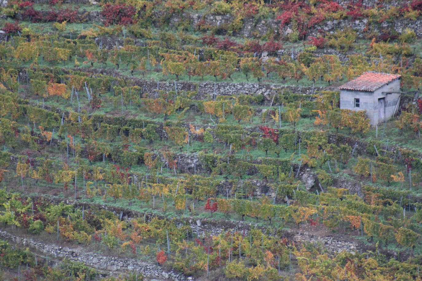 Fotos: Un hotel con mucha historia en la Ribeira Sacra