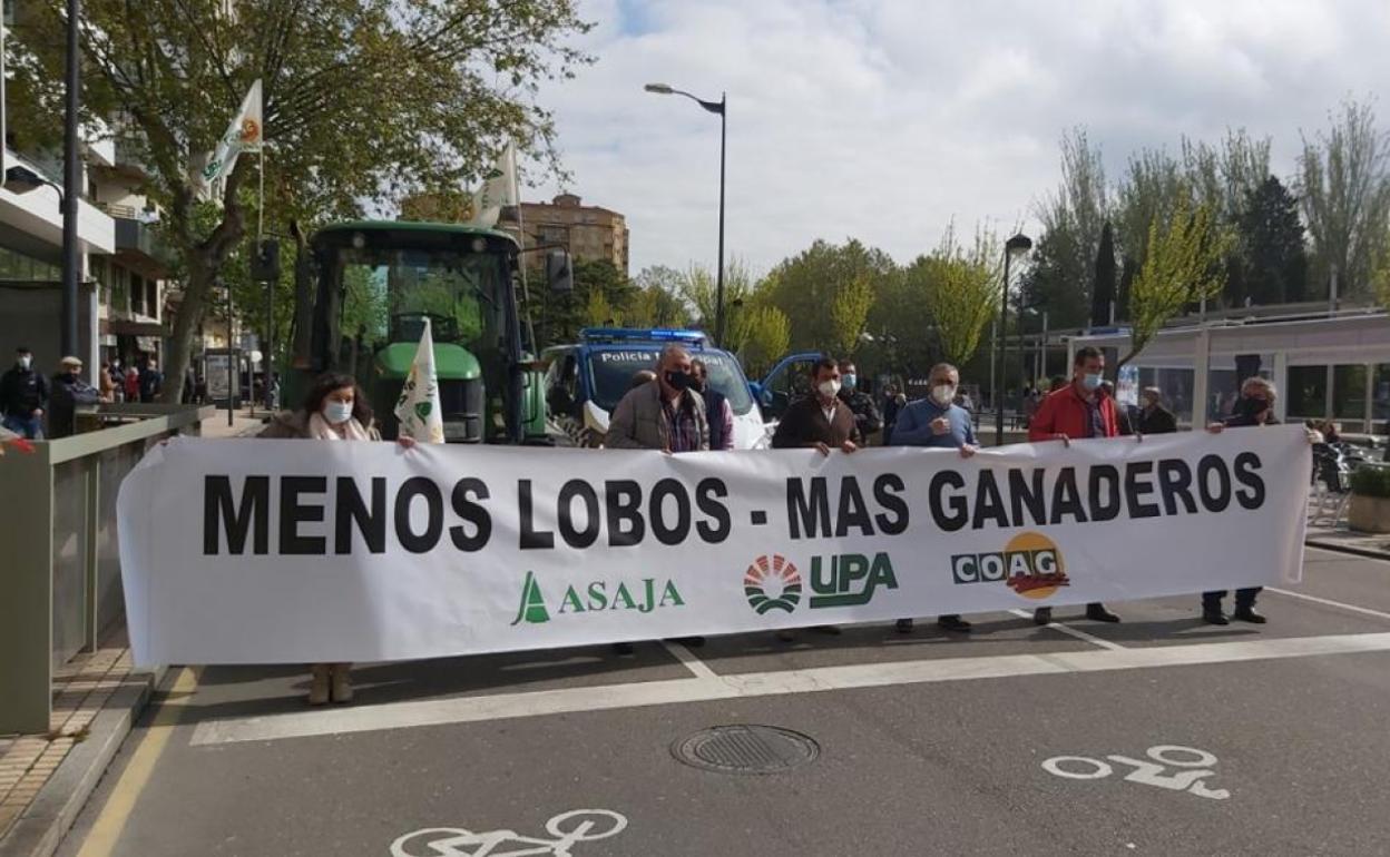 Movilización contra el nuevo proyecto de protección del lobo en Zamora.