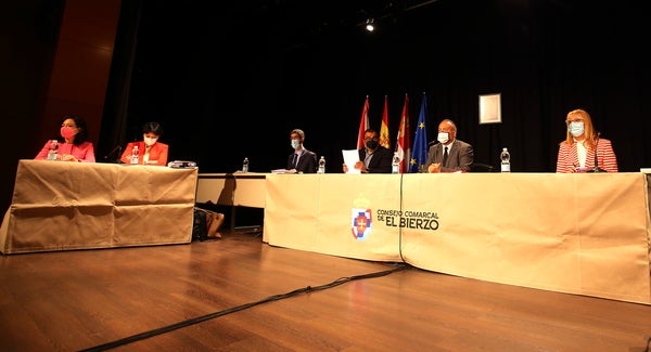 Pleno del Consejo Comarcal del Bierzo.