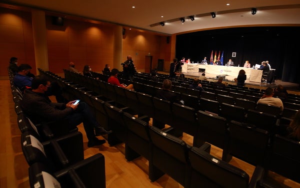 Pleno del Consejo Comarcal del Bierzo.