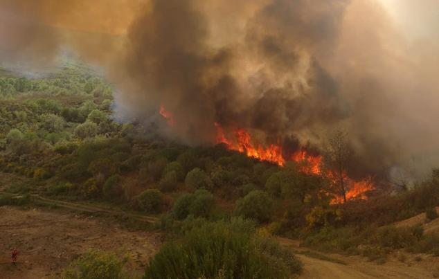 En la zona tan solo pueden intervenir medios aéreos ante la imposibilidad de actuar equipos terrestres por ser zona militar con numerosos explosivos activos | El fuego se ha propagado desde su núcleo entre los ríos Llamas y Espino. 