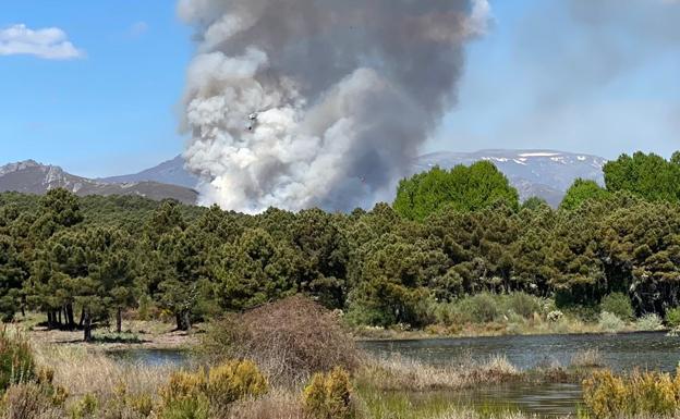 Galería. Imagen de la zona en la que avanza el incendio. 