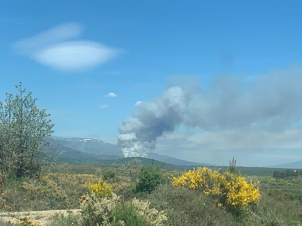 En la zona tan solo pueden intervenir medios aéreos ante la imposibilidad de actuar equipos terrestres por ser zona militar con numerosos explosivos activos | El fuego se ha propagado desde su núcleo entre los ríos Llamas y Espino. 