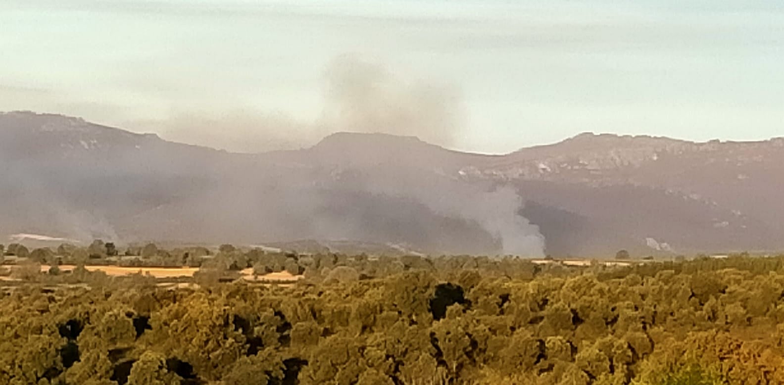 En la zona tan solo pueden intervenir medios aéreos ante la imposibilidad de actuar equipos terrestres por ser zona militar con numerosos explosivos activos | El fuego se ha propagado desde su núcleo entre los ríos Llamas y Espino. 