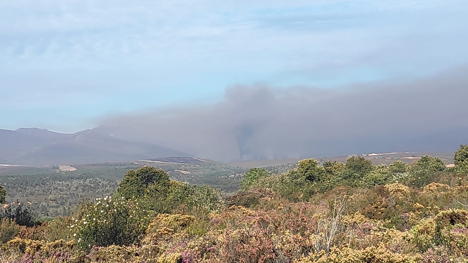 En la zona tan solo pueden intervenir medios aéreos ante la imposibilidad de actuar equipos terrestres por ser zona militar con numerosos explosivos activos | El fuego se ha propagado desde su núcleo entre los ríos Llamas y Espino. 