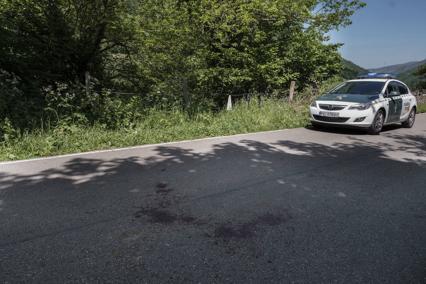 Una vecina de 75 años de Cangas del Narcea fue atacada por un oso en las inmediaciones del municipio. La mujer terminó con la pelvis rota y un desgarro en la cara por lo que fue trasladada al hospital.