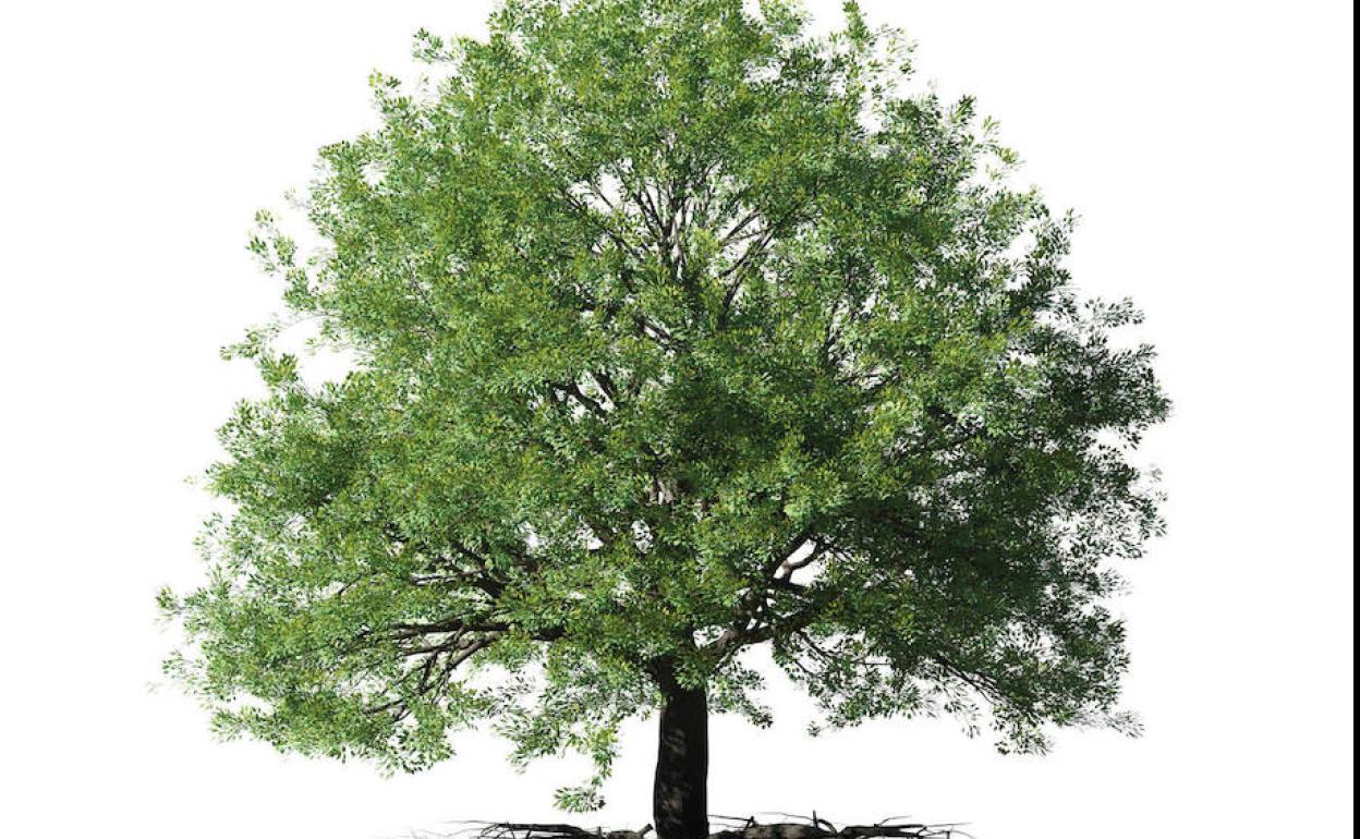 Imagen parcial de la portada del libro. 