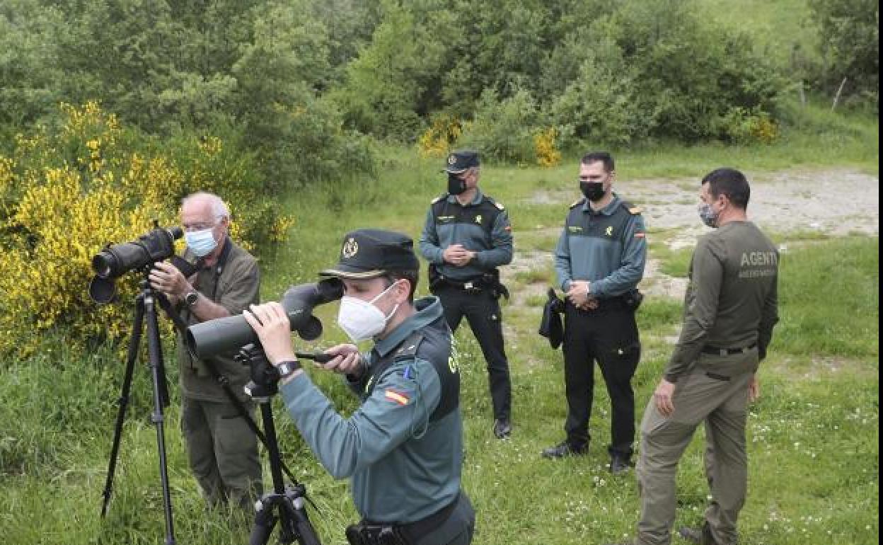 Búsqueda del oso que atacó hace unos días a una mujer en Cangas del Narcea. 