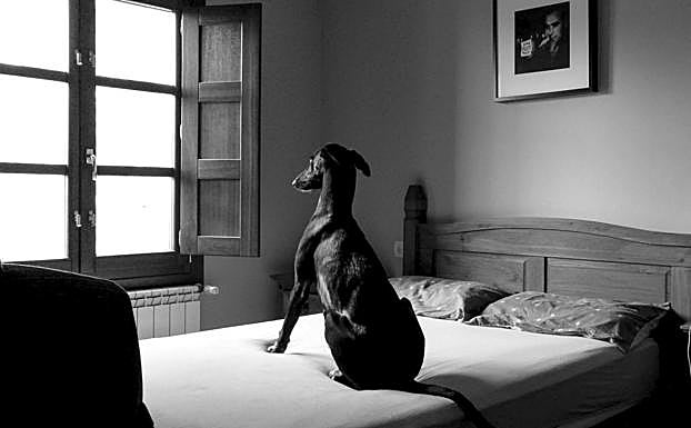 Otra de las imágenes ganadoras.