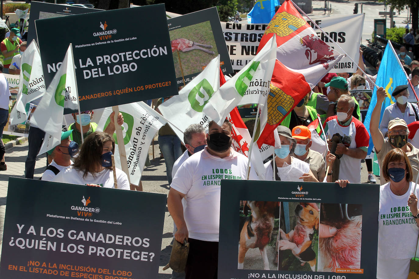 Concentración de la Plataforma en Defensa de la Gestión del Lobo 'Convivencia Lobo – Ganader@ Viv@' para exigir que se revoque el proyecto de orden ministerial que incluirá el lobo en el Listado de Especies Protegidas.