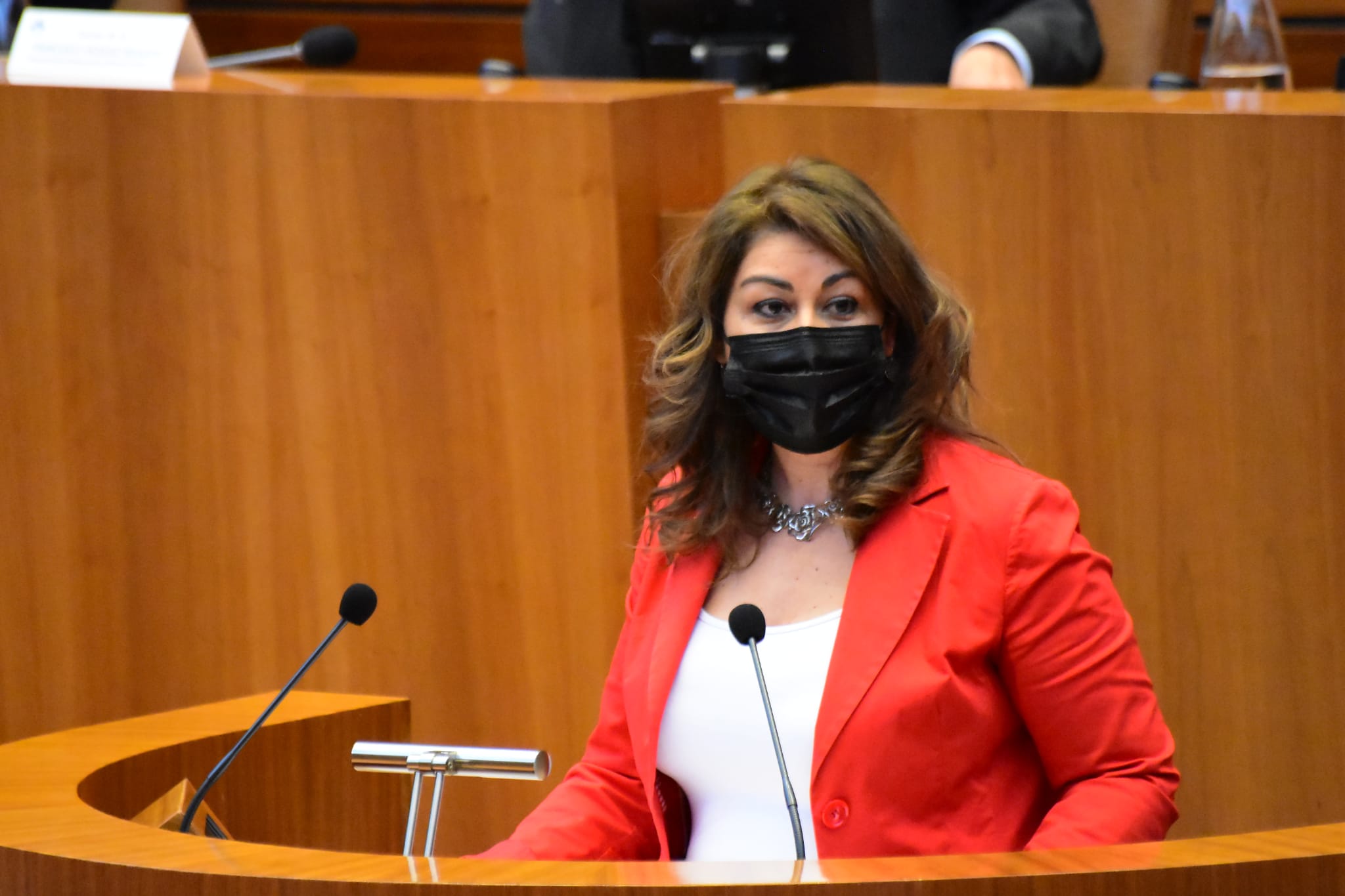 Marta Sanz,en las Cortes.