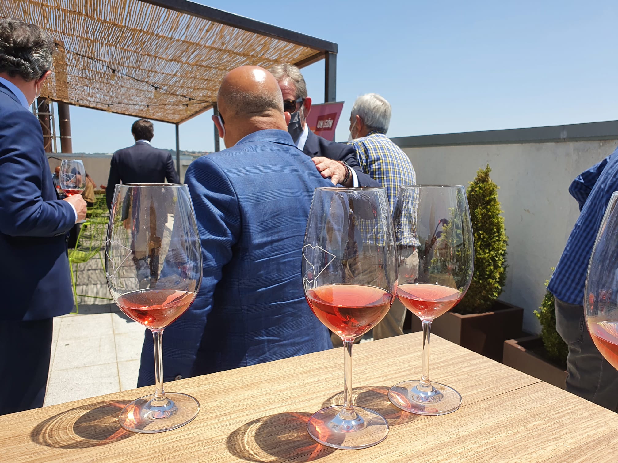 Calificación de la añada 2020 de los vinos DO de León