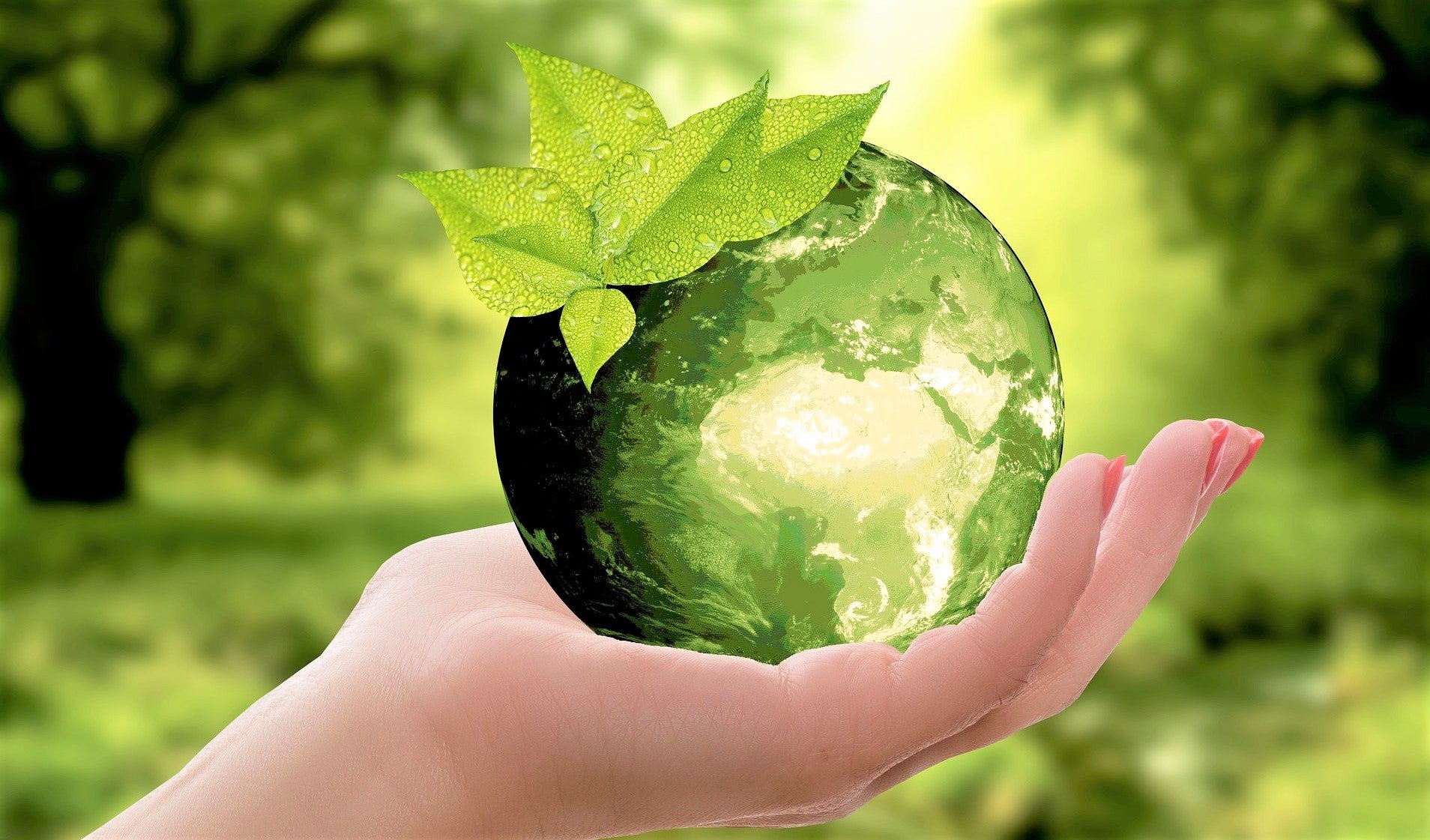 La economía circular centra el curso de verano de la ULE entre los días 5 y 8 de julio.