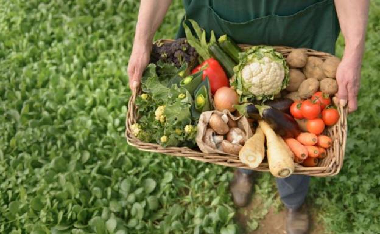 El sector agroalimentario es una de las potencias que tiene Castilla y León.