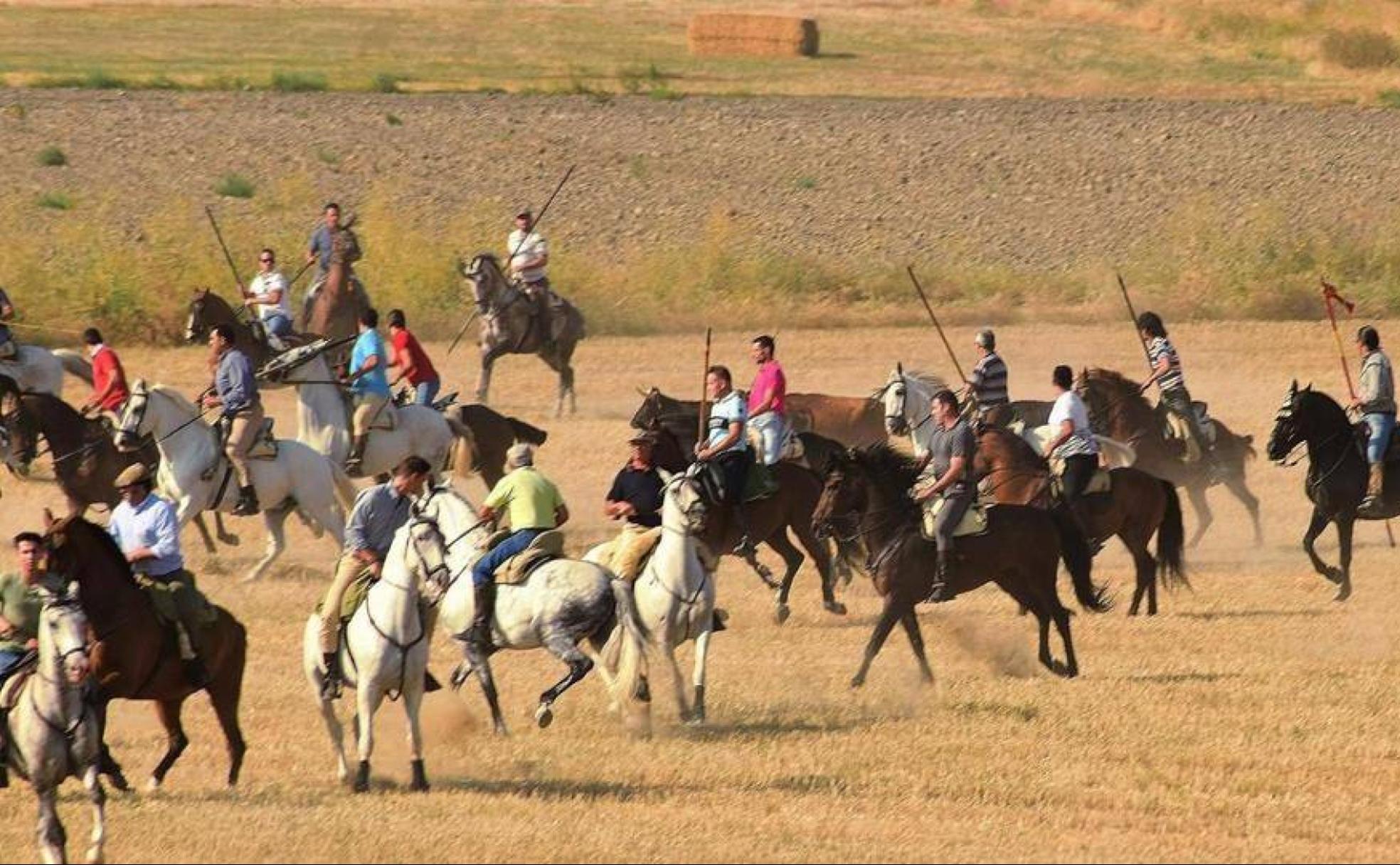 Encierro por el campo en La Pedraja de Portillo.