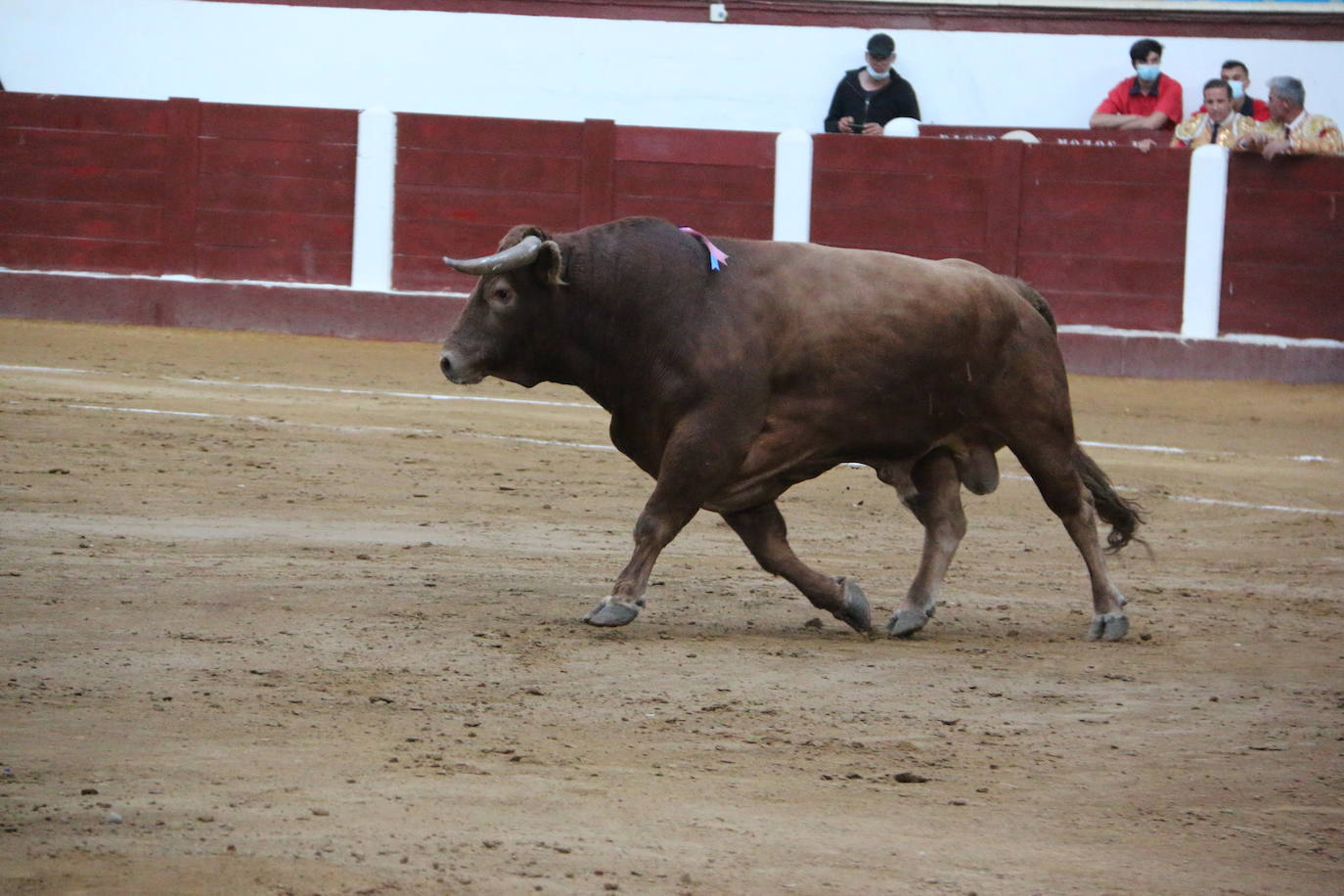 Fotos: Las mejores imágenes del Fandi en la plaza de torros de León