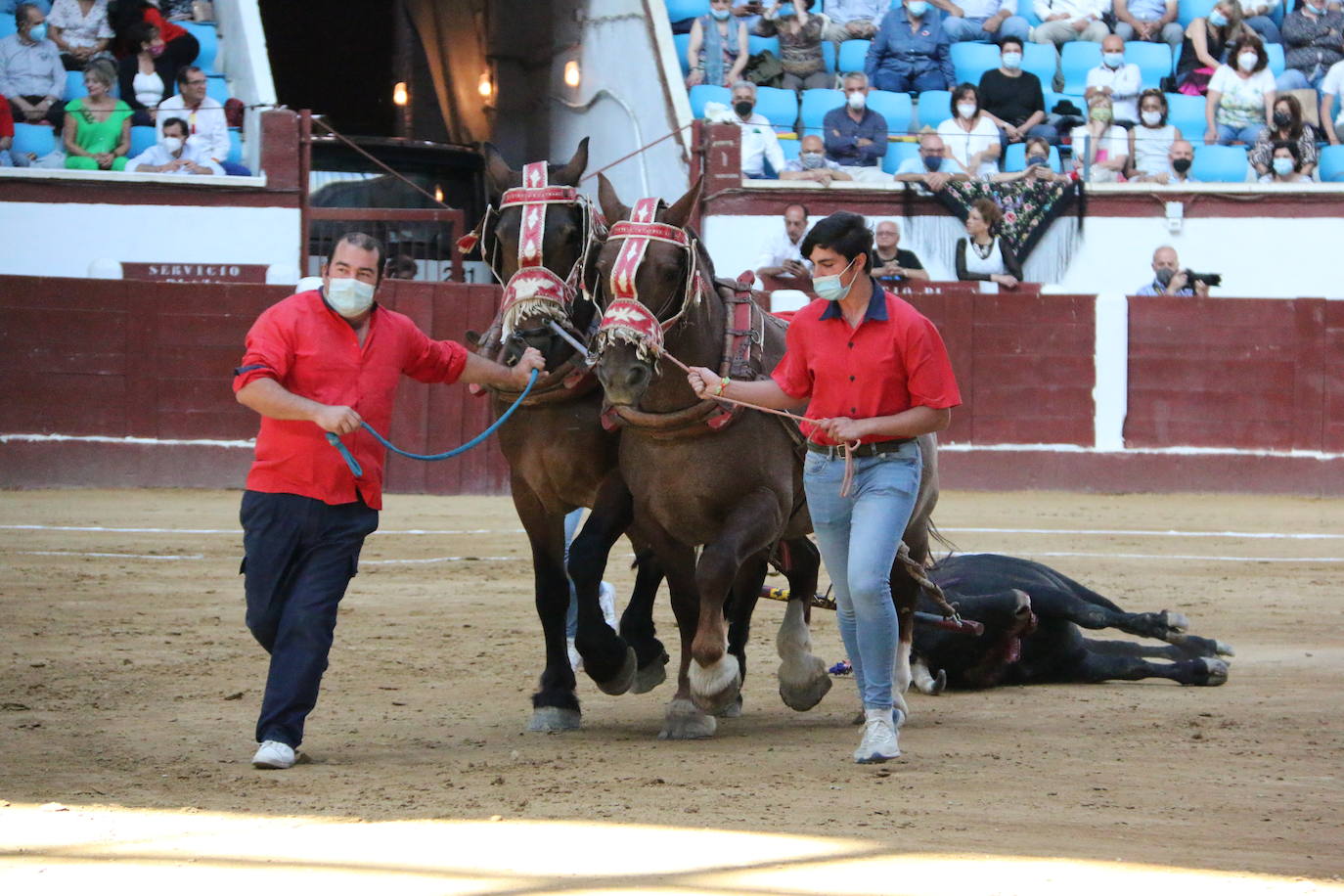 Fotos: Las mejores imágenes de Plablo Hermoso de Mendoza en la plaza de toros de León