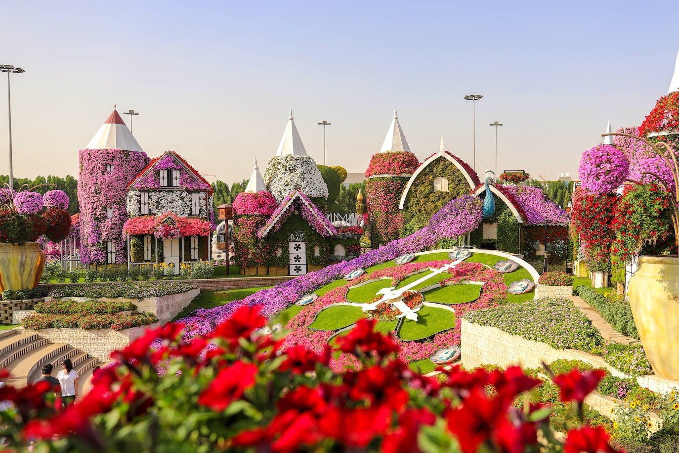 Miracle Garden, Dubái.