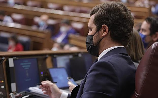 El líder del PP, Pablo Casado, en una sesión de control al Gobierno en el Congreso.
