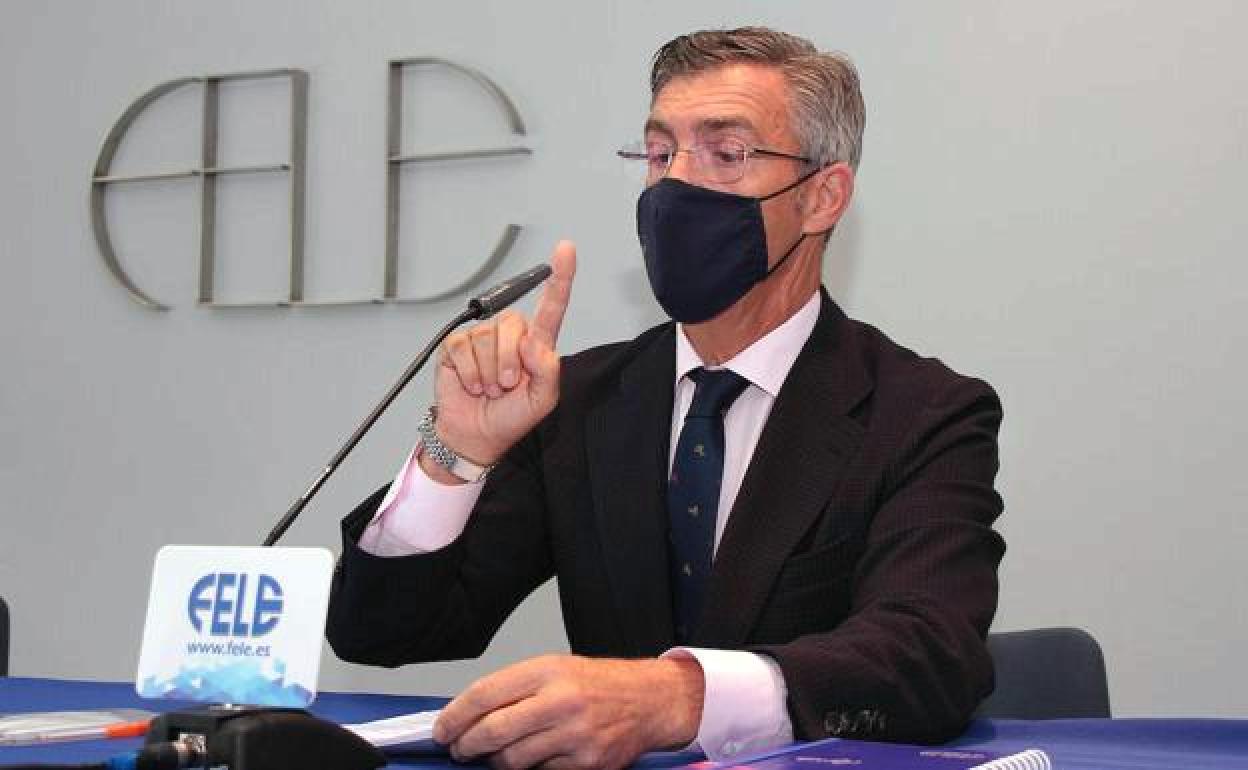 Javier Cepedano, presidente de Fele.