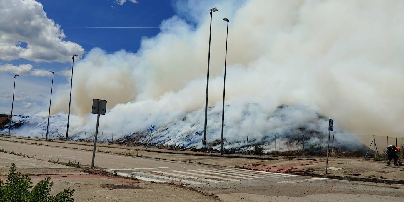 Fotos: Incendio en Forestalia, en Cubillos del Sil