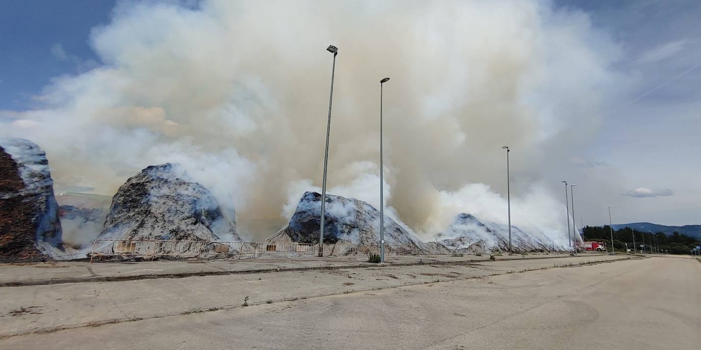 Fotos: Incendio en Forestalia, en Cubillos del Sil